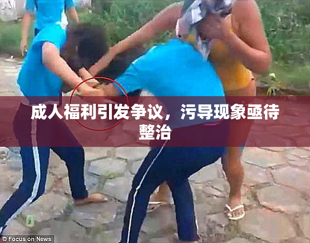 成人福利引发争议，污导现象亟待整治