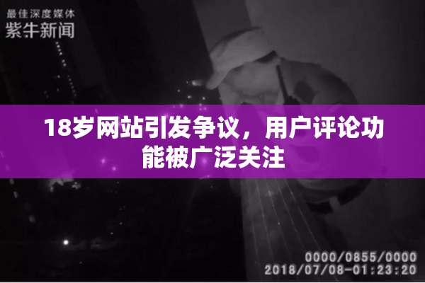 18岁网站引发争议，用户评论功能被广泛关注