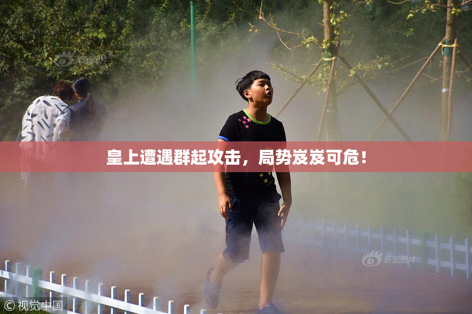 皇上遭遇群起攻击，局势岌岌可危！