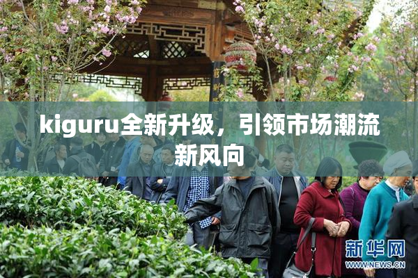 kiguru全新升级，引领市场潮流新风向