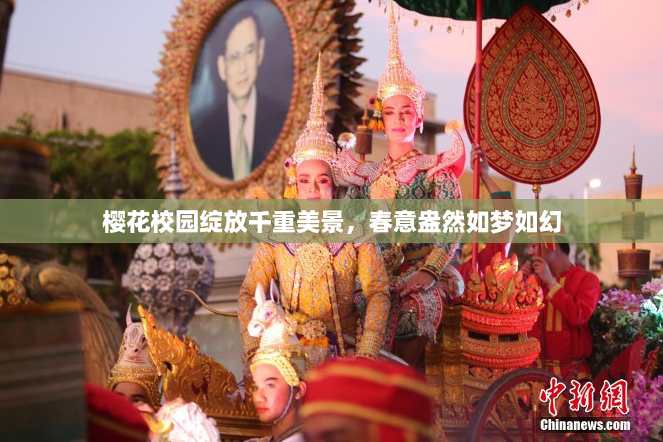 樱花校园绽放千重美景，春意盎然如梦如幻