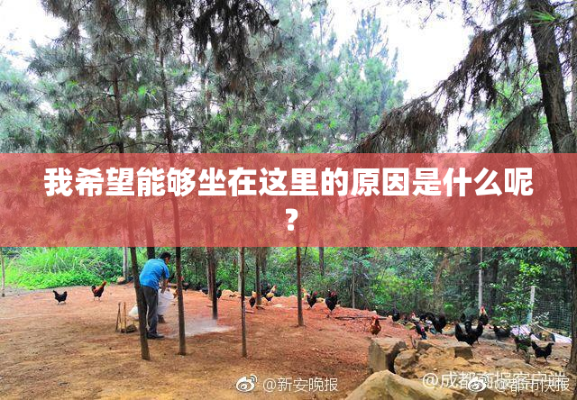 我希望能够坐在这里的原因是什么呢？