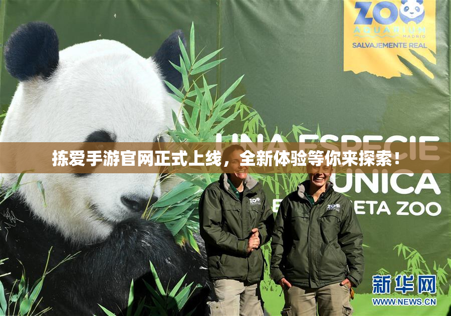 拣爱手游官网正式上线，全新体验等你来探索！