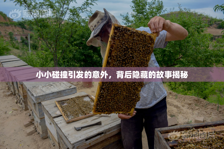 小小碰撞引发的意外，背后隐藏的故事揭秘