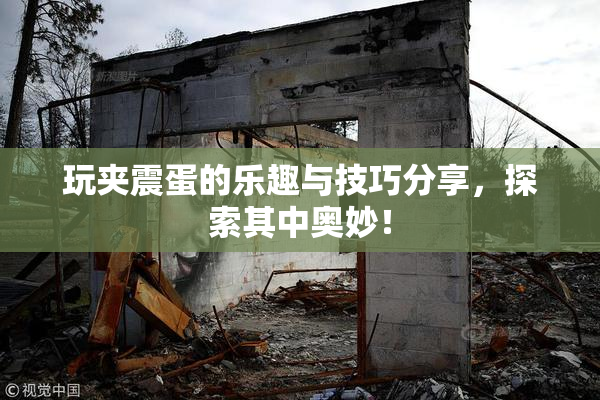 玩夹震蛋的乐趣与技巧分享，探索其中奥妙！