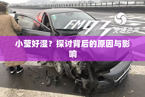 小莹好湿？探讨背后的原因与影响