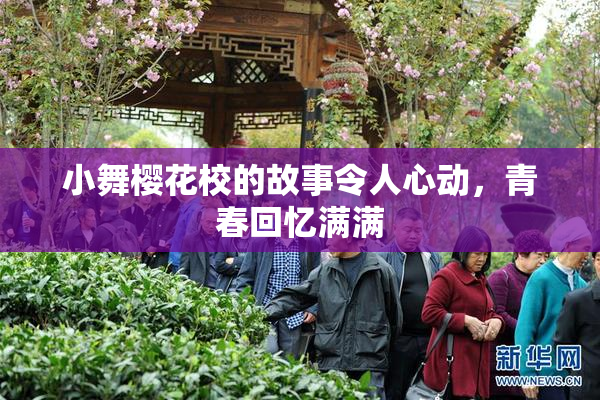 小舞樱花校的故事令人心动，青春回忆满满