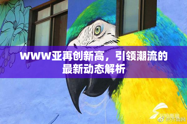 WWW亚再创新高，引领潮流的最新动态解析