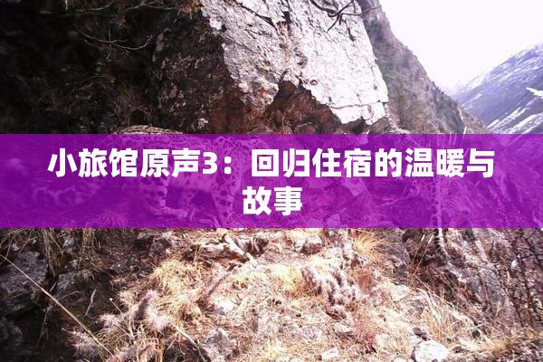 小旅馆原声3：回归住宿的温暖与故事