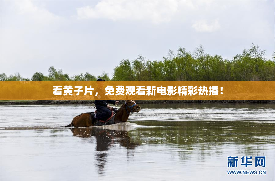 看黄子片，免费观看新电影精彩热播！