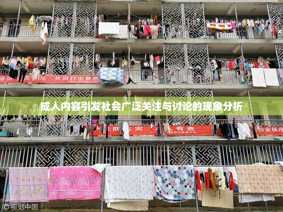 成人内容引发社会广泛关注与讨论的现象分析