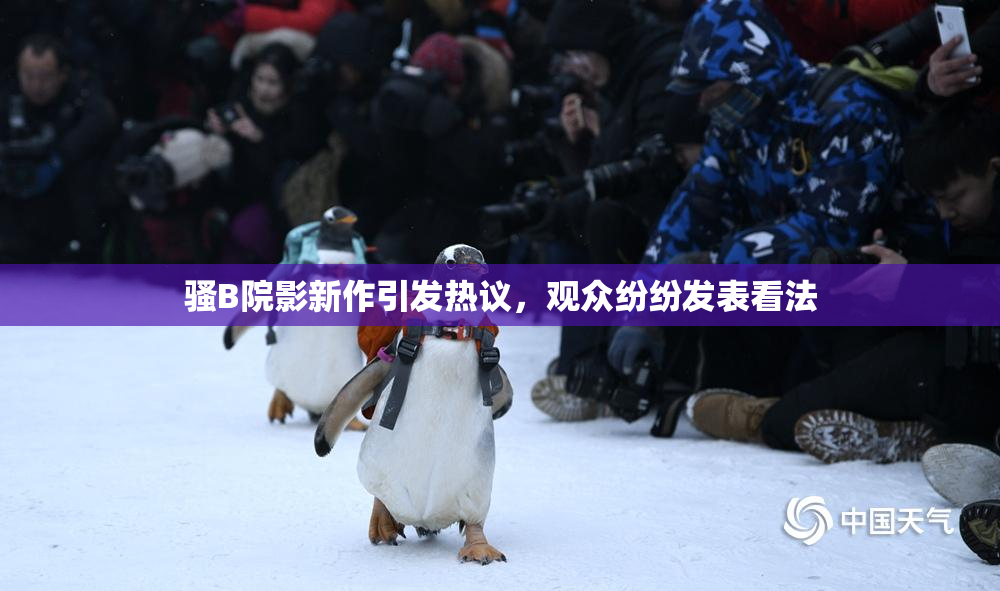 骚B院影新作引发热议，观众纷纷发表看法