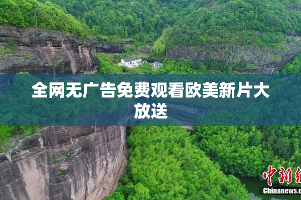 全网无广告免费观看欧美新片大放送