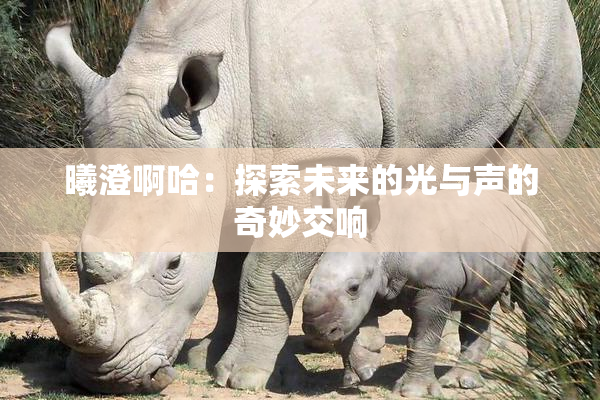 曦澄啊哈：探索未来的光与声的奇妙交响