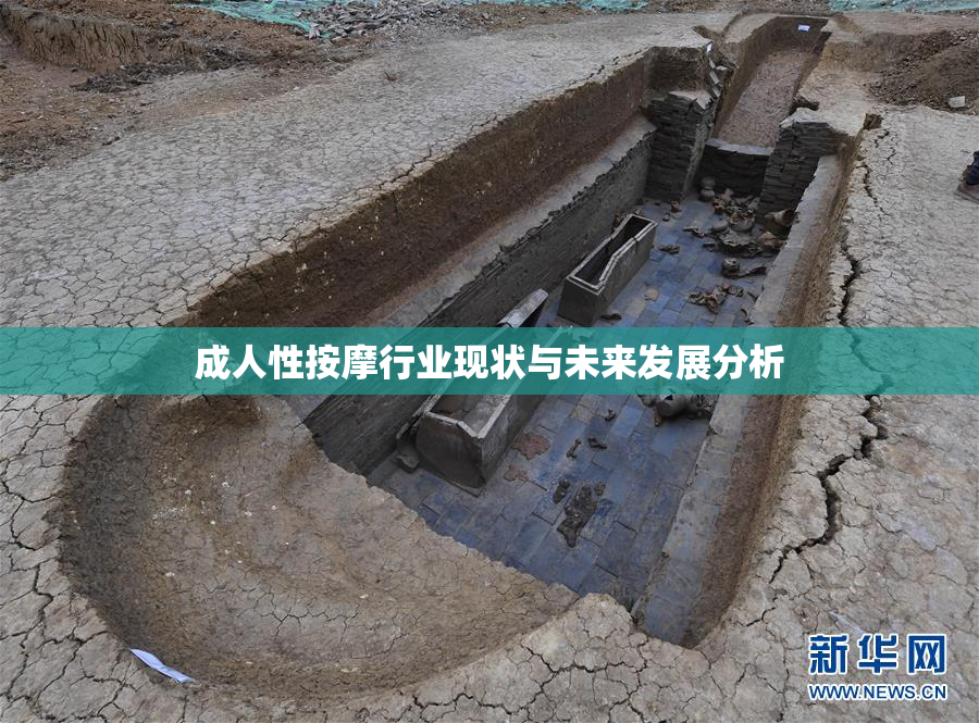 成人性按摩行业现状与未来发展分析