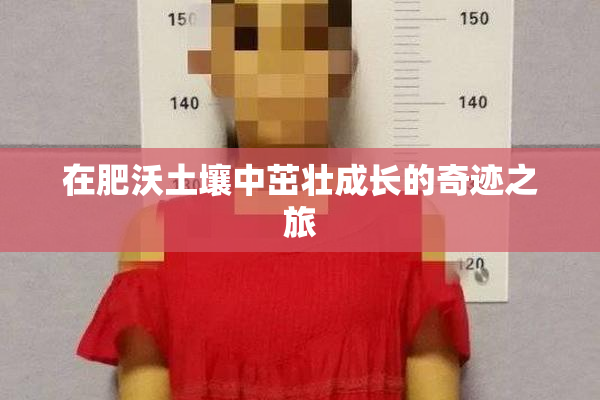 在肥沃土壤中茁壮成长的奇迹之旅