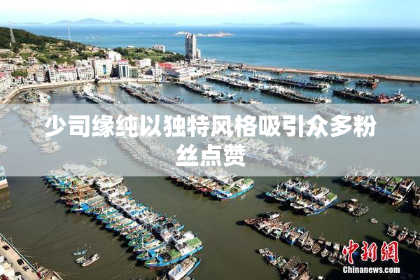 少司缘纯以独特风格吸引众多粉丝点赞
