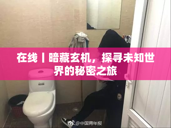 在线丨暗藏玄机，探寻未知世界的秘密之旅