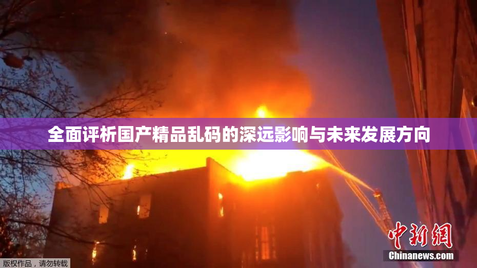 全面评析国产精品乱码的深远影响与未来发展方向
