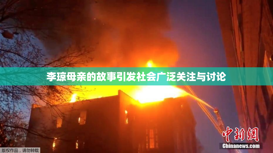 李琼母亲的故事引发社会广泛关注与讨论