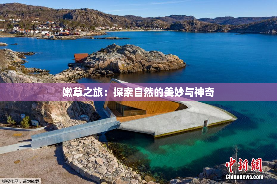 嫩草之旅：探索自然的美妙与神奇