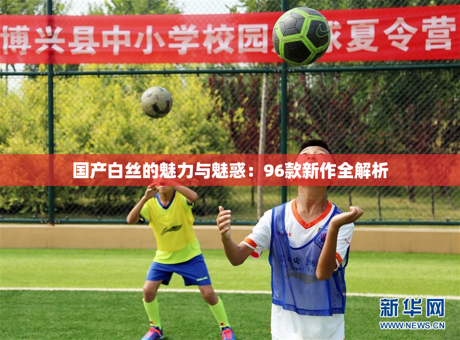 国产白丝的魅力与魅惑：96款新作全解析