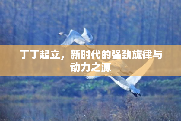 丁丁起立，新时代的强劲旋律与动力之源