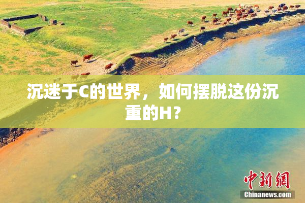 沉迷于C的世界，如何摆脱这份沉重的H？
