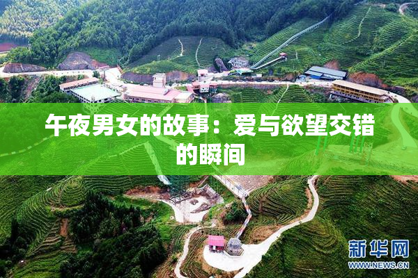 午夜男女的故事：爱与欲望交错的瞬间