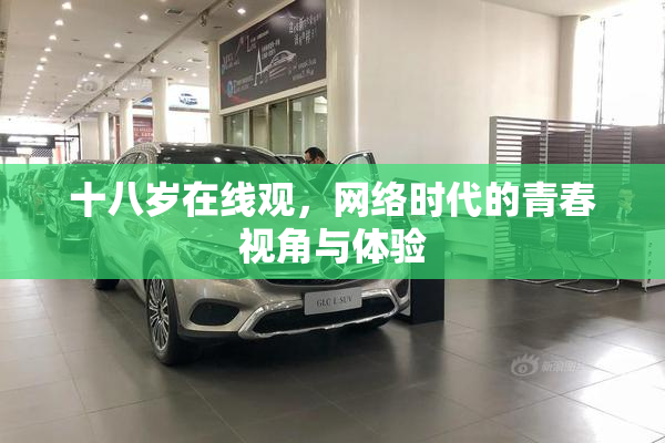 十八岁在线观，网络时代的青春视角与体验
