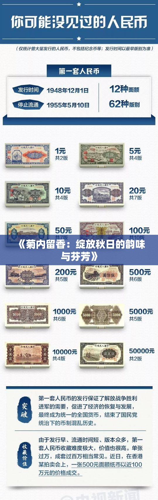 《菊内留香：绽放秋日的韵味与芬芳》