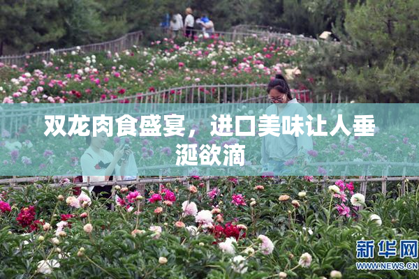 双龙肉食盛宴，进口美味让人垂涎欲滴