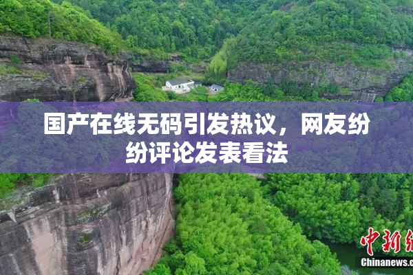 国产在线无码引发热议，网友纷纷评论发表看法