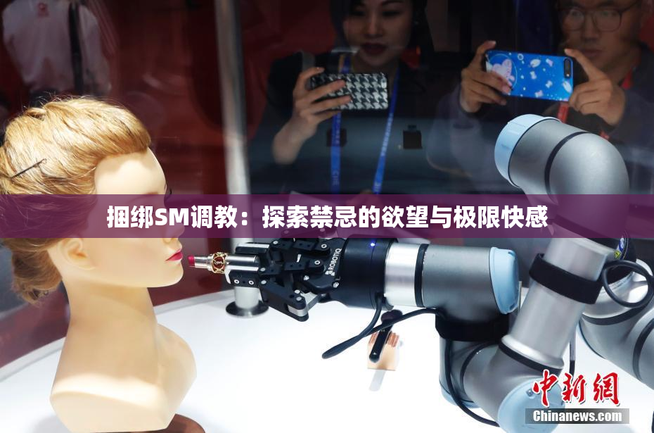 捆绑SM调教：探索禁忌的欲望与极限快感