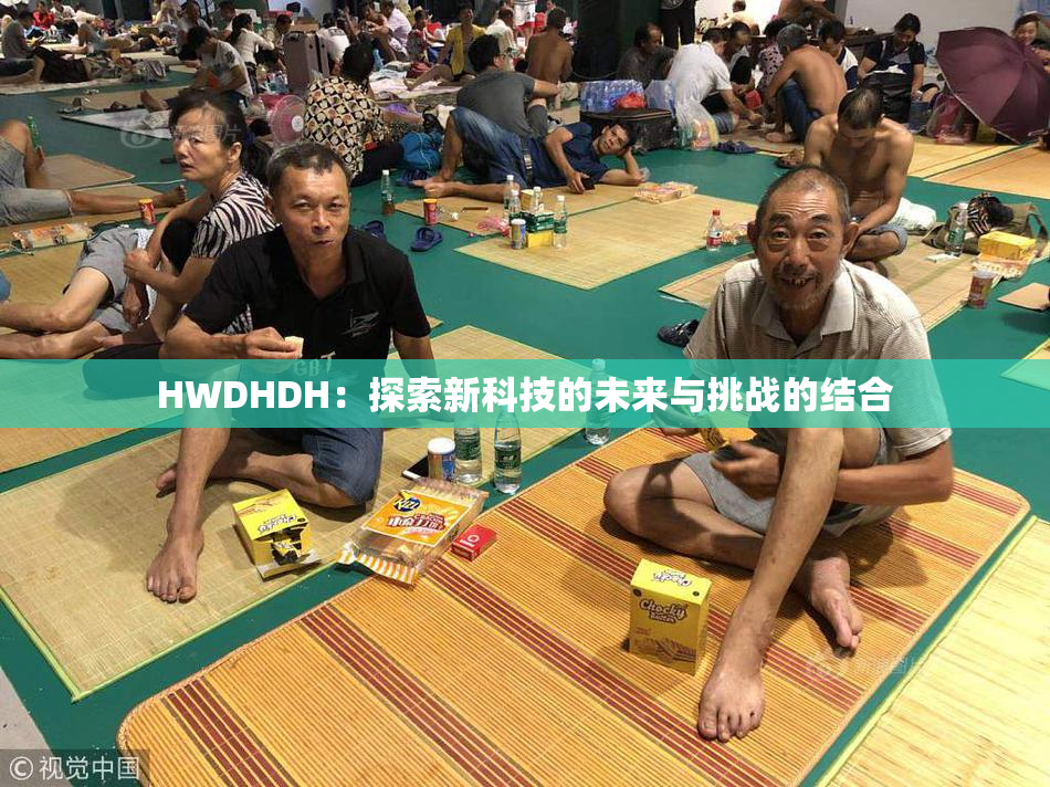 HWDHDH：探索新科技的未来与挑战的结合