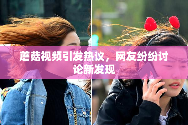 蘑菇视频引发热议，网友纷纷讨论新发现