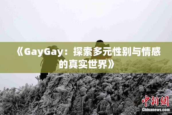 《GayGay：探索多元性别与情感的真实世界》