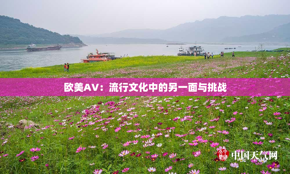 欧美AV：流行文化中的另一面与挑战