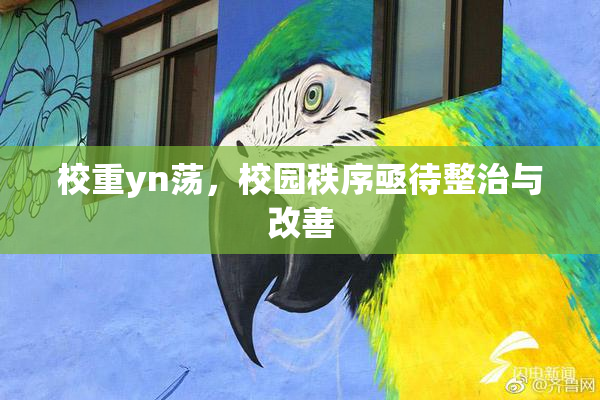校重yn荡，校园秩序亟待整治与改善