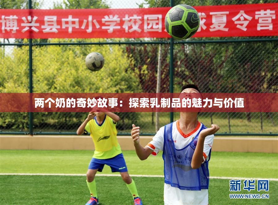 两个奶的奇妙故事：探索乳制品的魅力与价值