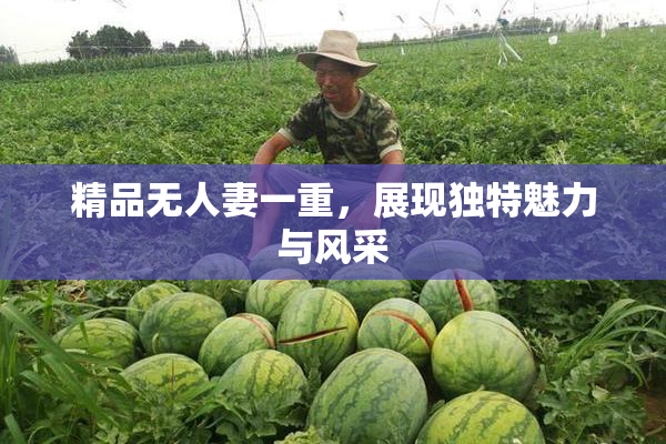 精品无人妻一重，展现独特魅力与风采