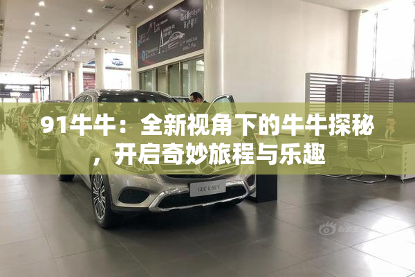 91牛牛：全新视角下的牛牛探秘，开启奇妙旅程与乐趣