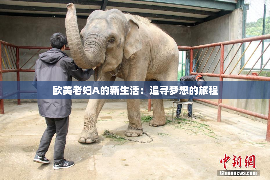 欧美老妇A的新生活：追寻梦想的旅程