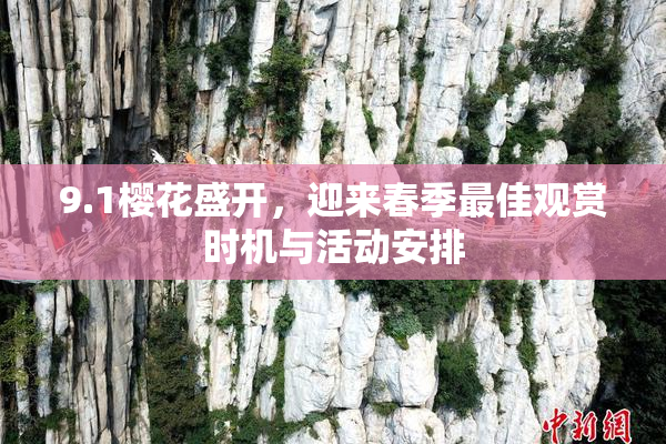 9.1樱花盛开，迎来春季最佳观赏时机与活动安排