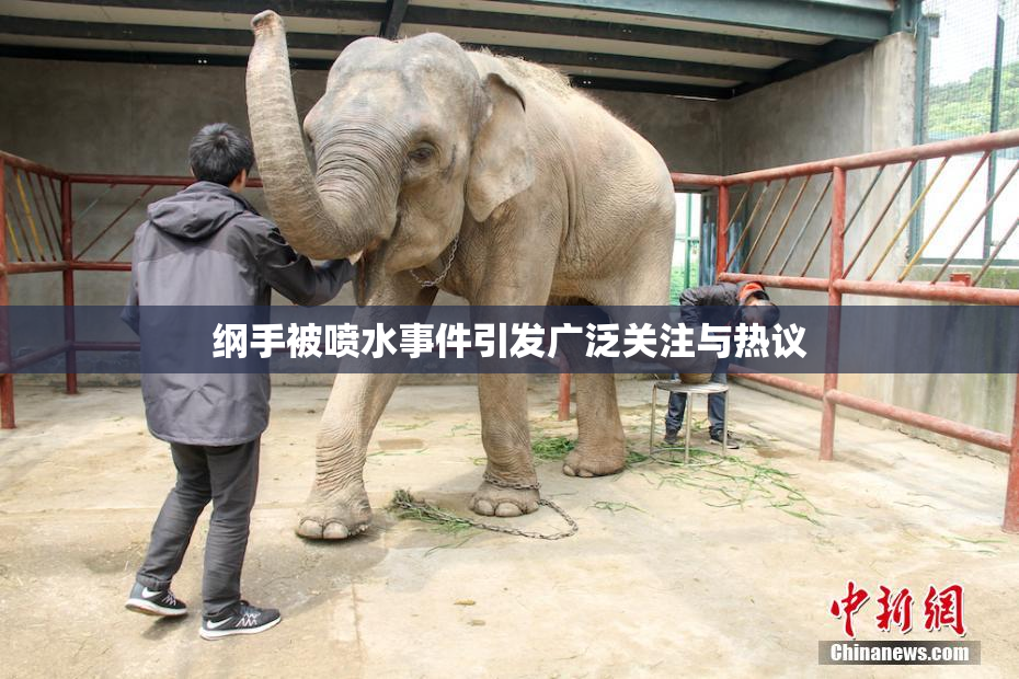 纲手被喷水事件引发广泛关注与热议