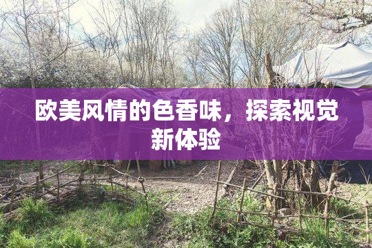 欧美风情的色香味，探索视觉新体验
