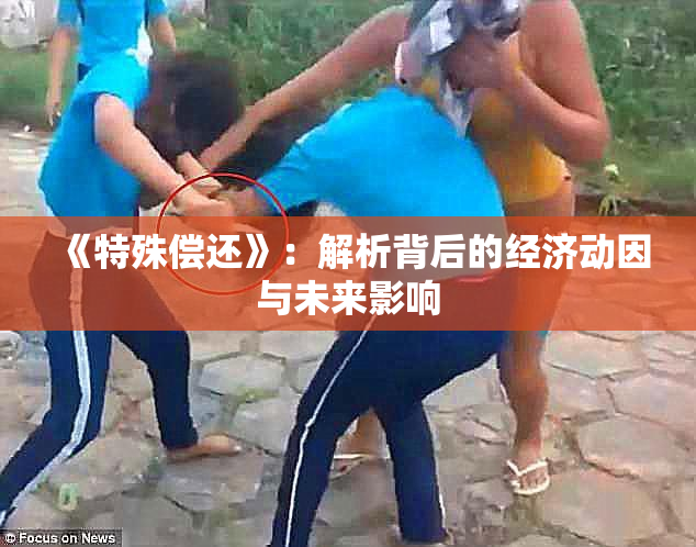 《特殊偿还》：解析背后的经济动因与未来影响