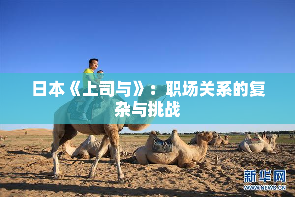 日本《上司与》：职场关系的复杂与挑战
