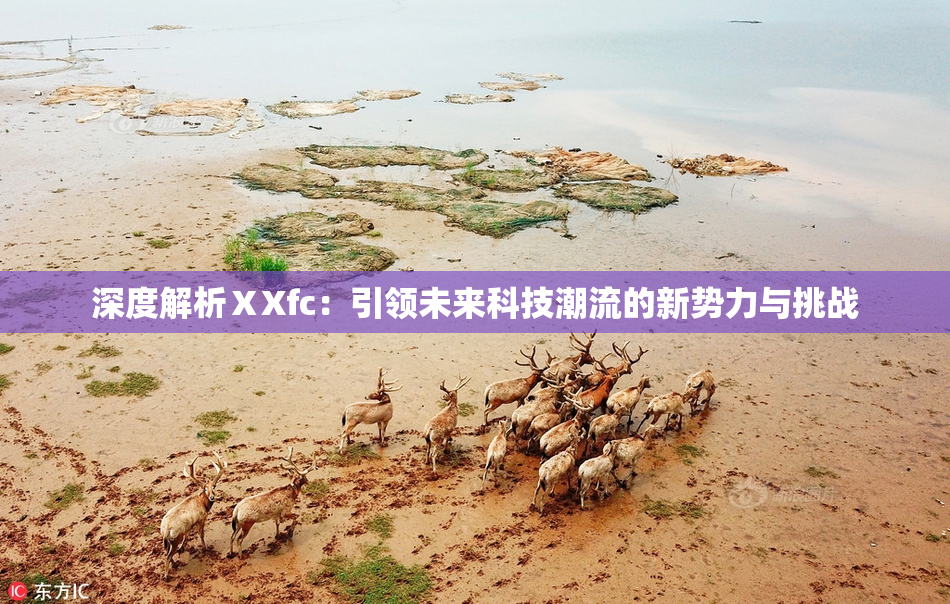 深度解析ⅩXfc：引领未来科技潮流的新势力与挑战