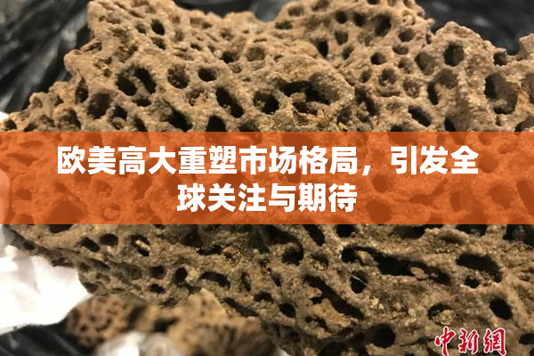 欧美高大重塑市场格局，引发全球关注与期待